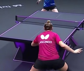 开云APP-湖人技术犯规送分，孙颖莎主帅怒摔战术板！